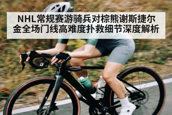 NHL常规赛游骑兵对棕熊谢斯捷尔金全场门线高难度扑救细节深度解析 - kaiyun